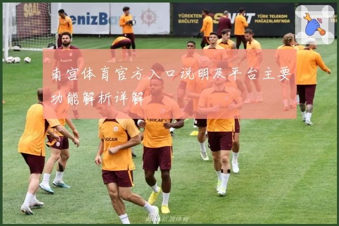 南宫体育官方入口说明及平台主要功能解析详解