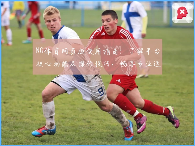NG体育网页版使用指南：了解平台核心功能及操作技巧，畅享专业运动赛事数据解析
