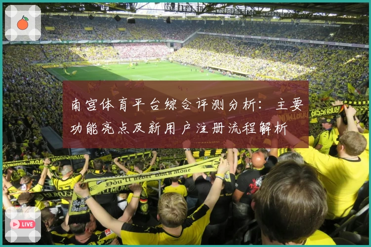 南宫体育平台综合评测分析：主要功能亮点及新用户注册流程解析